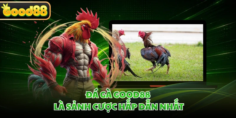 Đá gà GOOD88 là sảnh cược hấp dẫn nhất
