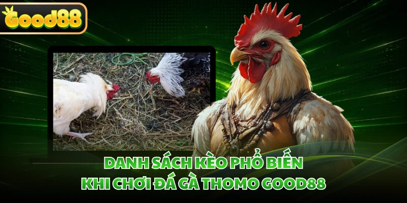 Đá Gà Thomo GOOD88 - Khơi Dậy Đam Mê Qua Những Trận Nảy Lửa 2 Danh sách kèo phổ biến khi chơi đá gà Thomo GOOD88