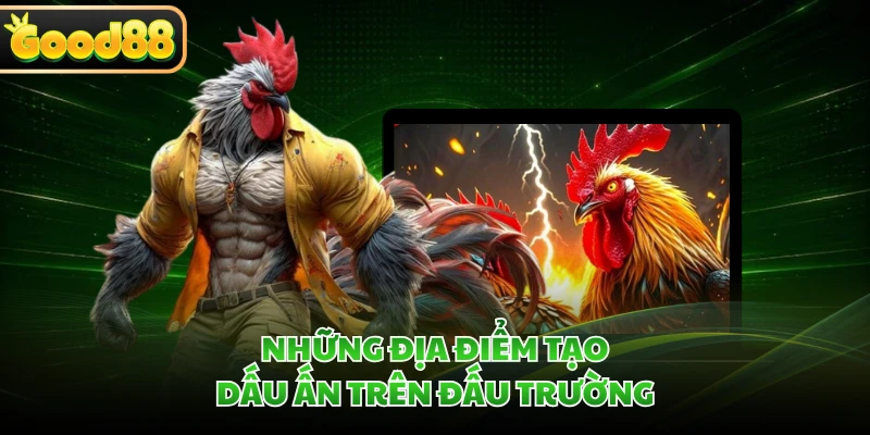 Đá Gà Cựa Dao GOOD88 - Khám Phá Trường Đấu Và Luật Chơi 1 Những địa điểm tạo dấu ấn trên đấu trường