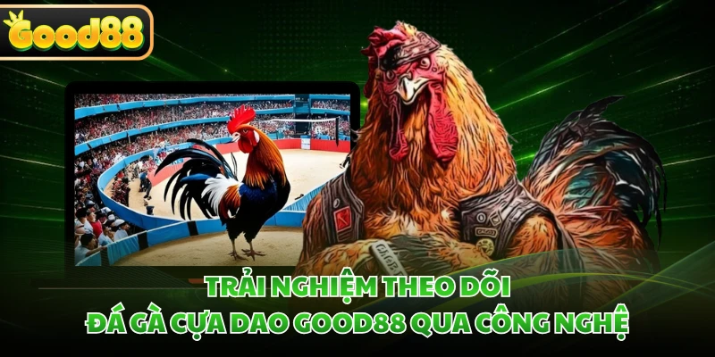 Đá Gà Cựa Dao GOOD88 - Khám Phá Trường Đấu Và Luật Chơi 4 Trải nghiệm theo dõi đá gà cựa dao GOOD88 qua công nghệ